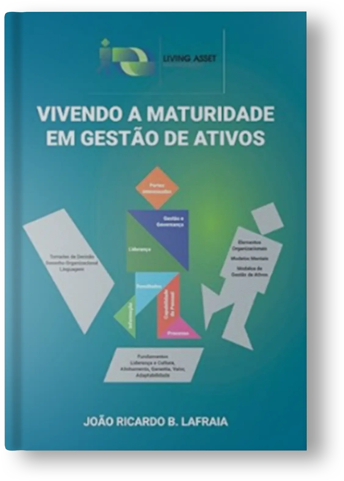 Vivendo a Maturidade em Gestão de Ativos